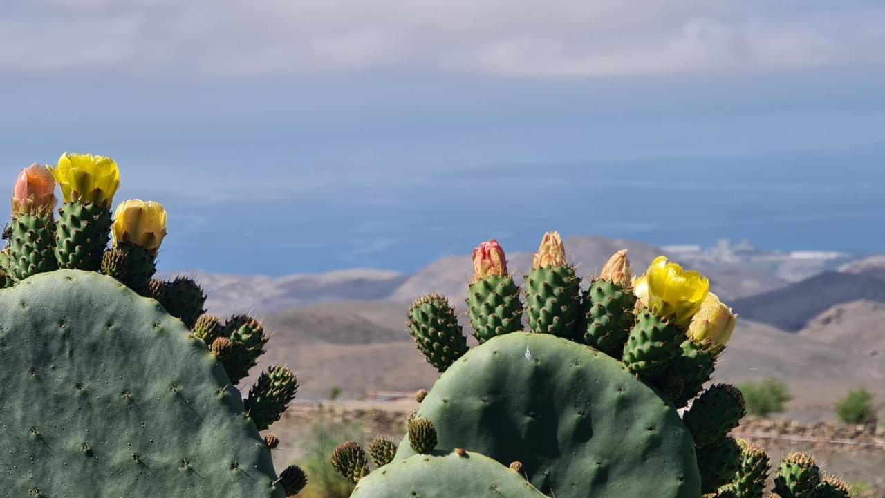 Puerto Rico Top Teide And Amadores View 외부 사진