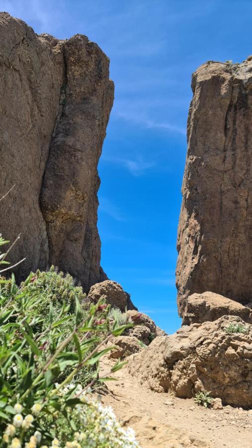 Puerto Rico Top Teide And Amadores View 외부 사진