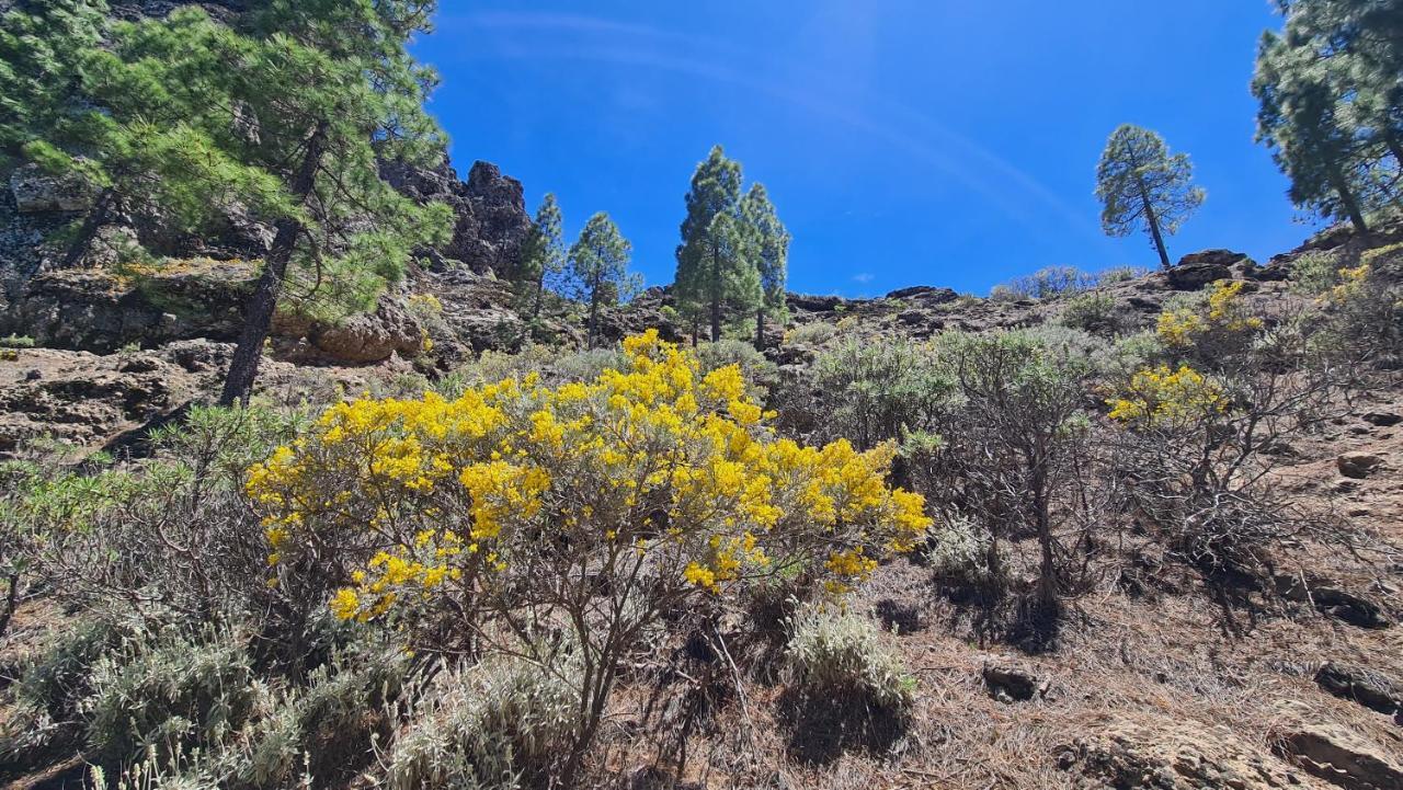 Puerto Rico Top Teide And Amadores View 외부 사진