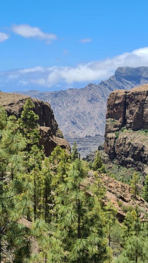 Puerto Rico Top Teide And Amadores View 외부 사진